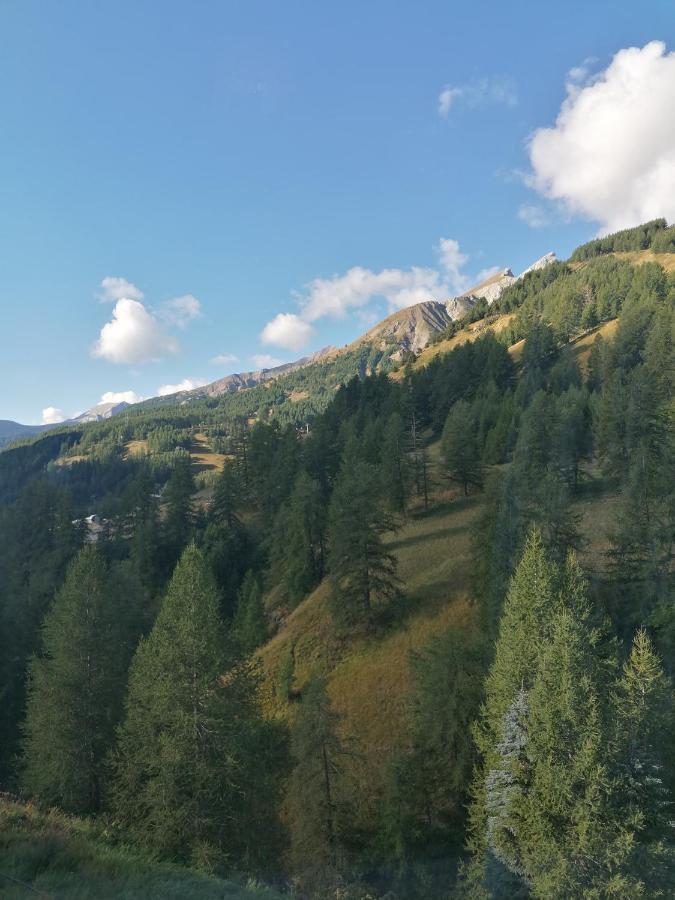 La Foux D'Allos Centre Station, Vue Panoramique Quartier Les Etoiles 50M Des Remontees Kültér fotó